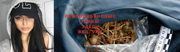 винт Магас