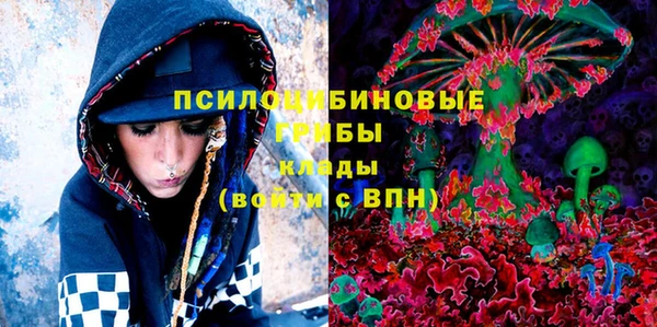 винт Магас