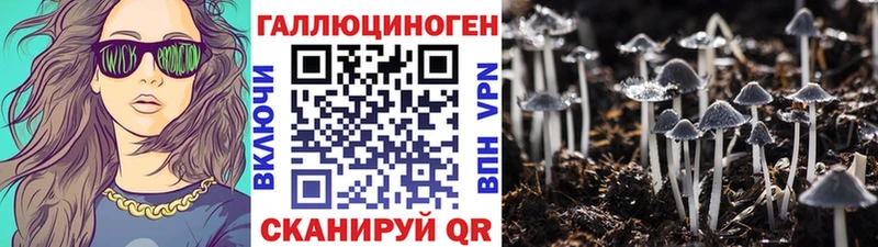 Галлюциногенные грибы GOLDEN TEACHER  мега онион  Казань 